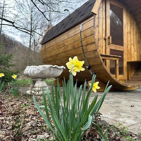 Eden Natural Resort - Transalpina Capalna Exterior photo