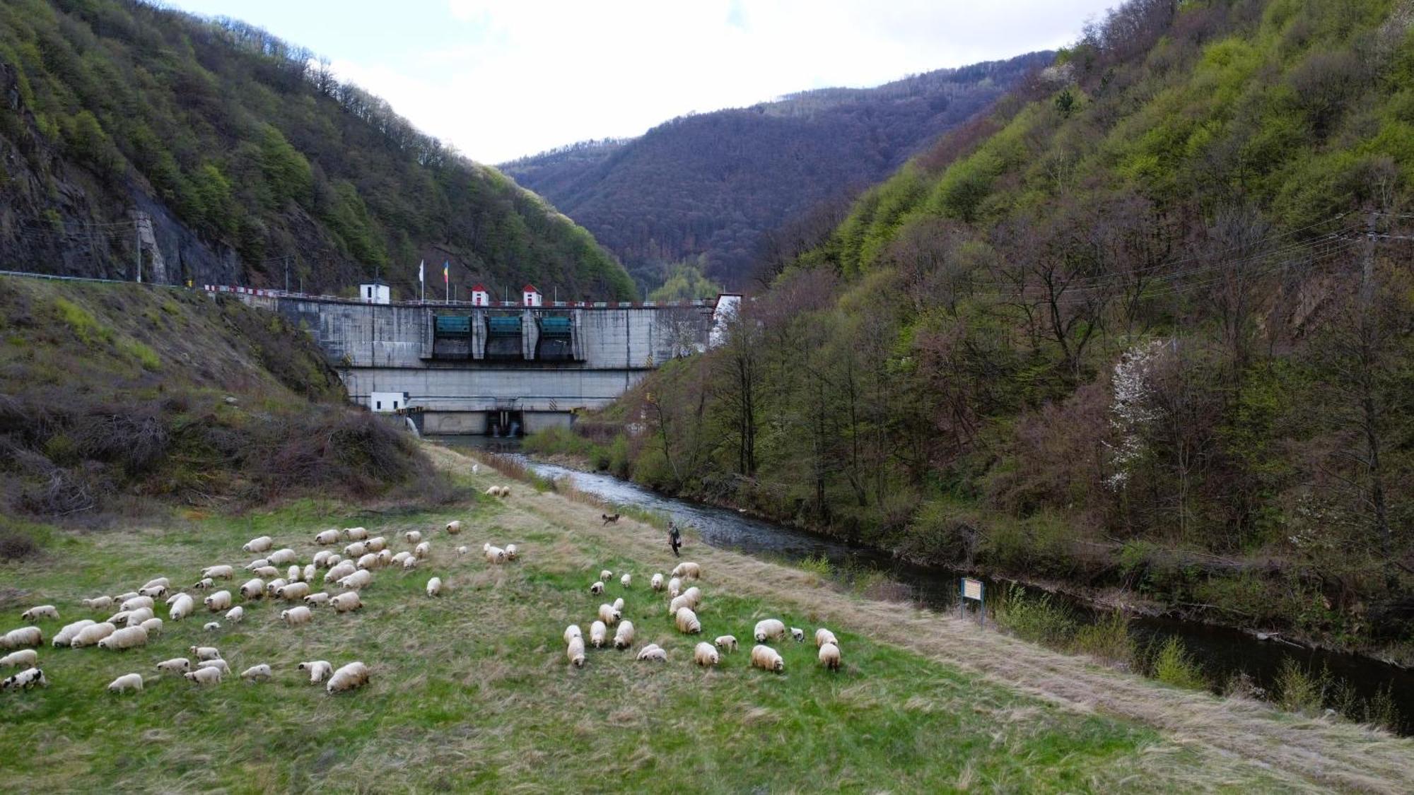 Eden Natural Resort - Transalpina Capalna Exterior photo